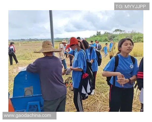 杨静回首篮球生涯的点滴瞬间与成长故事分享 杨静回首篮球生涯的点滴瞬间与成长故事分享