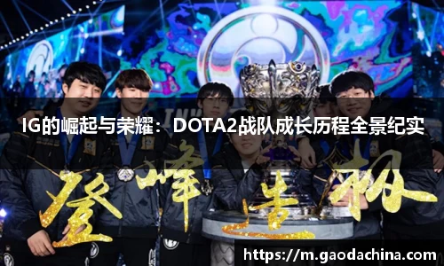 奇异果qyg网页版