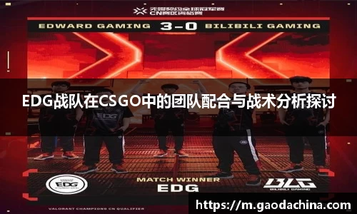 qyg体育官网入口