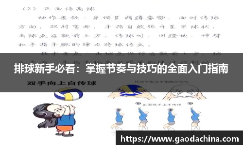 mgty奇异果体育