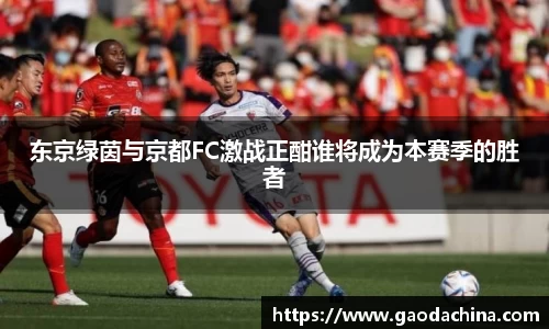 奇异果qyg网页版