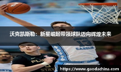 奇异果qyg网页版