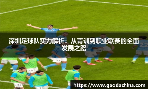 深圳足球队实力解析：从青训到职业联赛的全面发展之路